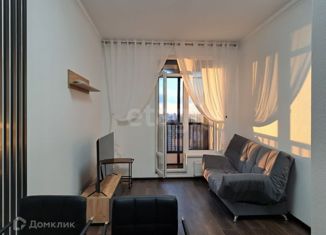 Квартира в аренду студия, 37 м2, Санкт-Петербург, Фарфоровская улица, 9