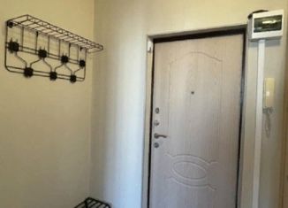 Аренда однокомнатной квартиры, 36 м2, Санкт-Петербург, Ленинский проспект, 78к1