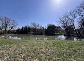 Продается участок, 9 сот., деревня Хрущево, Ромашковая улица