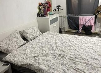 3-комнатная квартира на продажу, 60 м2, Новосибирск, улица Олеко Дундича, 1, улица Олеко Дундича