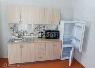 Сдается квартира студия, 25 м2, Ростовская область, улица 1-я Линия, 60