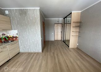 Продается квартира студия, 23.2 м2, посёлок Красное Поле, улица Авиаторов, 7