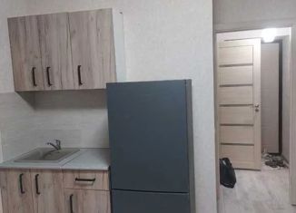 Сдается квартира студия, 21 м2, село Осиново, улица Марата Ахметшина, 1