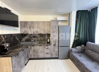 Продам 1-комнатную квартиру, 17 м2, Горячий Ключ, улица Ярославского, 132А