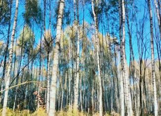 Продам участок, 10 сот., село Частое, Просторная улица