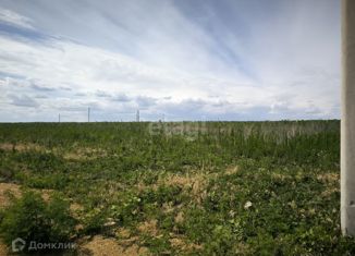 Земельный участок на продажу, 4.1 сот., село Большие Салы, улица Мира