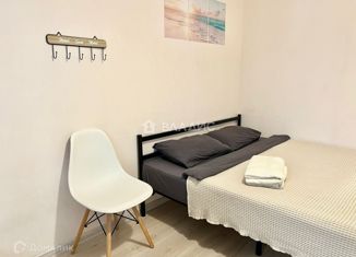 Продается квартира студия, 27.2 м2, Санкт-Петербург, улица Михаила Дудина, 12, улица Михаила Дудина