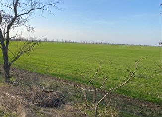 Участок на продажу, 6 сот., село Береговое, Центральная улица, 25