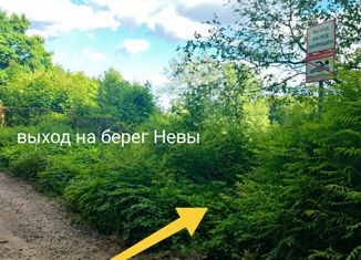 Продам земельный участок, 10 сот., деревня Островки