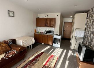 Продажа квартиры студии, 25 м2, деревня Хохряки, Муромская улица, 1