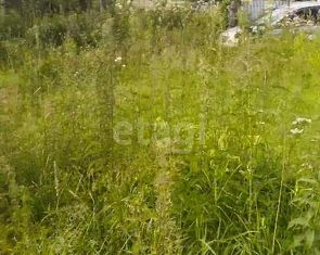 Продается участок, 6 сот., СНТ Урожай