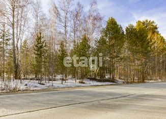 Продаю участок, 50.45 сот., поселок Ледянка