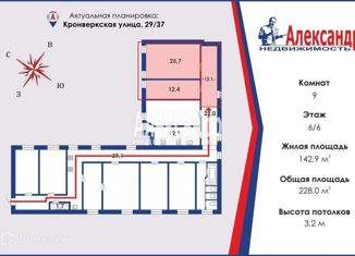 Продается комната, 228.1 м2, Санкт-Петербург, Большая Пушкарская улица, 37, муниципальный округ Кронверкское