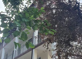 3-ком. квартира на продажу, 52 м2, село Раздольное, СТ Фундучное, 29