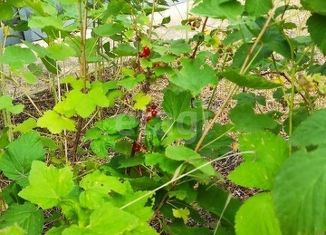 Продаю дом, 70 м2, село Хреновое, Набережная улица