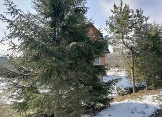 Продам дом, 65 м2, Ленинградская область, садоводческое некоммерческое товарищество Политехник, 306