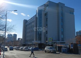 Офис в аренду, 550 м2, Владивосток, Пограничная улица, Фрунзенский район