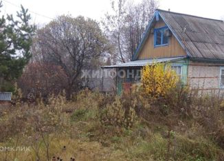 Дом на продажу, 31.3 м2, Новосибирская область, Пшеничная улица