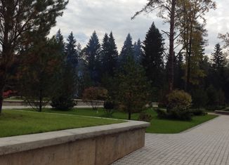 Продажа участка, 27.23 сот., деревня Семенково