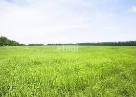 Продаю участок, 12.5 сот., деревня Первомайская, Берёзовая улица