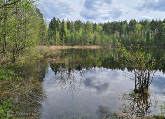 Продам земельный участок, 6 сот., СНТ Искра, СНТ Искра, 88