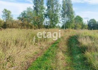 Продам земельный участок, 43.73 сот., посёлок при железнодорожной станции Лужайка, Центральная улица