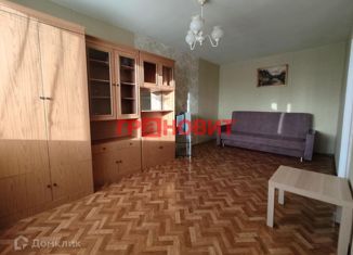 Продается 1-комнатная квартира, 30 м2, Новосибирск, улица Дуси Ковальчук, 18, метро Гагаринская