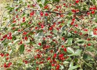 Продается дом, 25 м2, СНТ Мичуринец