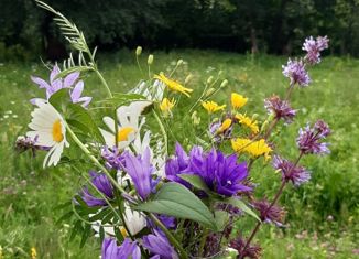 Продам земельный участок, 14 сот., село Кобан, село Кобан, 141