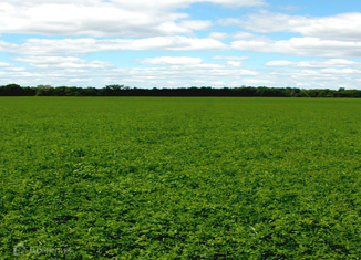 Продажа участка, 20 сот., деревня Крёкшино