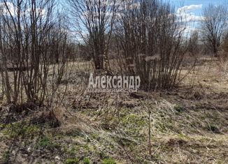 Продается земельный участок, 15.3 сот., деревня Борутино