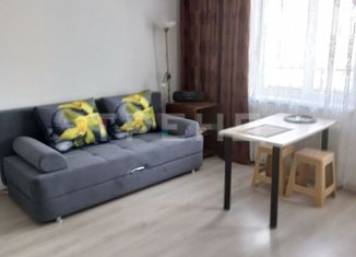 Продается квартира студия, 28 м2, Мурино, проспект Авиаторов Балтики, 17, ЖК Охтинская Дуга