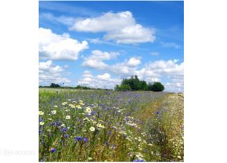 Продаю участок, 10 сот., Ладушкин, Молодёжная улица