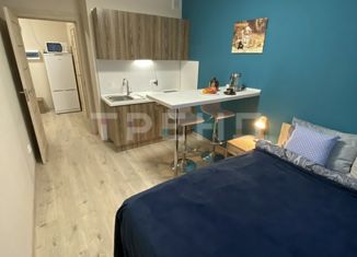 Продажа квартиры студии, 21.3 м2, Санкт-Петербург, Политехническая улица, 6соор1, Политехническая улица