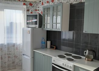 Сдается однокомнатная квартира, 42 м2, Санкт-Петербург, улица Михаила Дудина, 23к1, улица Михаила Дудина