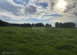 Продаю земельный участок, 1453.1 сот., посёлок Евтиховский, Молодёжная улица