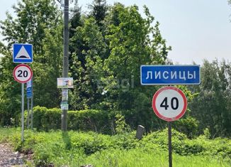 Земельный участок на продажу, 6.37 сот., деревня Лисицы