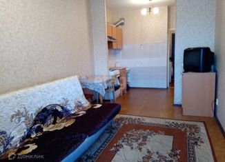 Продажа 1-комнатной квартиры, 24.1 м2, Санкт-Петербург, Варшавская улица, 19к2