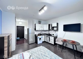 Квартира в аренду студия, 27 м2, Санкт-Петербург, Московский проспект, 73к5, муниципальный округ Измайловское