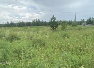 Продам земельный участок, 10.9 сот., село Исетское, Берёзовая улица, 2