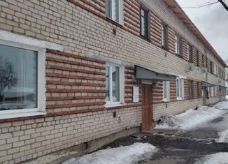 Однокомнатная квартира на продажу, 27 м2, поселок Басьяновский, улица Строителей, 6