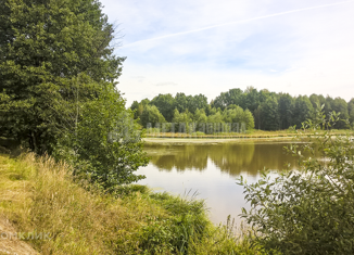 Земельный участок на продажу, 600 сот., Кокинское сельское поселение