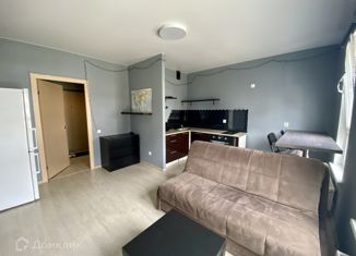 Квартира в аренду студия, 26 м2, посёлок Мичуринский, Широкореченская улица, 58к2