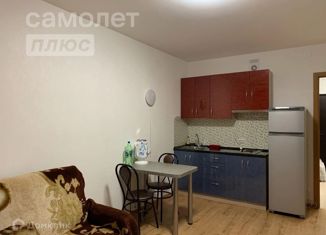 Сдаю квартиру студию, 30 м2, Колпино, улица Севастьянова, 28к1