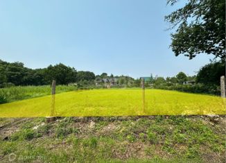 Продажа земельного участка, 6 сот., СТ Кирпичики, СТ Кирпичики, 541