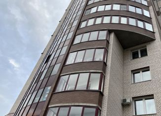 Двухкомнатная квартира на продажу, 87.4 м2, Санкт-Петербург, Клочков переулок, 10к2, Клочков переулок