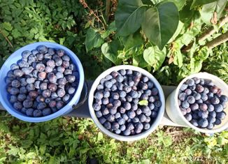 Продажа дома, 52.2 м2, Калужская область