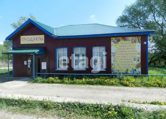 Продам офис, 117.9 м2, село Старый Двор, Центральная улица, 10