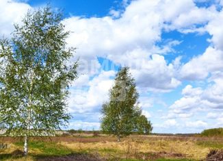 Земельный участок на продажу, 10 сот., село Берёзовка, Центральная улица