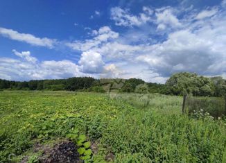 Продам участок, 35 сот., село Котово